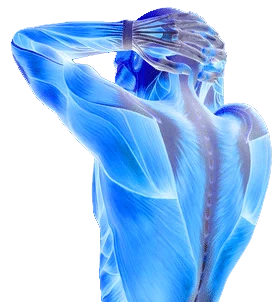 Avatar3